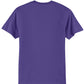 Swaasi Core - P&C® 5.5 oz 50/50 T-Shirt Extra Color with Print Logo