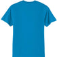 Swaasi Core - P&C® 5.5 oz 50/50 T-Shirt Extra Color with Print Logo