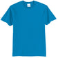 Swaasi Core - P&C® 5.5 oz 50/50 T-Shirt Extra Color with Print Logo